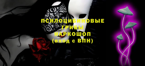 ПСИЛОЦИБИНОВЫЕ ГРИБЫ Аркадак