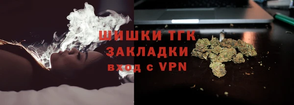 ПСИЛОЦИБИНОВЫЕ ГРИБЫ Аркадак