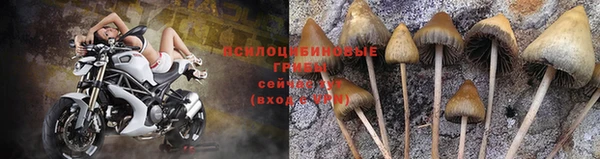 a pvp Армянск
